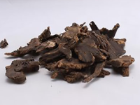张其成委员全方位加大中医药非物质文化遗产