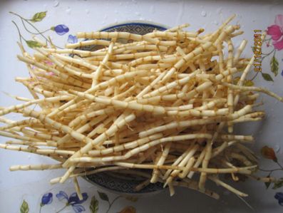 院士专家援黔行动计划遵义行启动