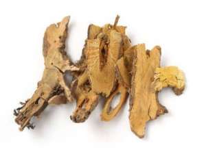电脑病预防有妙招