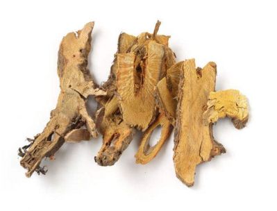 电脑病预防有妙招