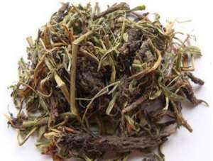 广东省中医药局做好总调度和中转站