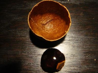 旱半夏种茎要分开种植