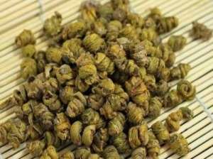 板蓝根主要病害识别与防治