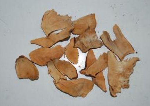 皂角刺的功效与作用