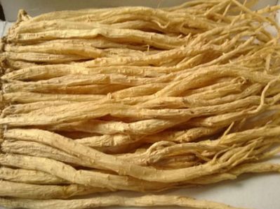 露水草的功效与作用