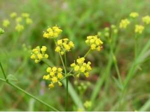 江西新余市提升中医药服务队伍素质